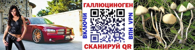 как найти закладки  Артёмовск  Галлюциногенные грибы мухоморы 